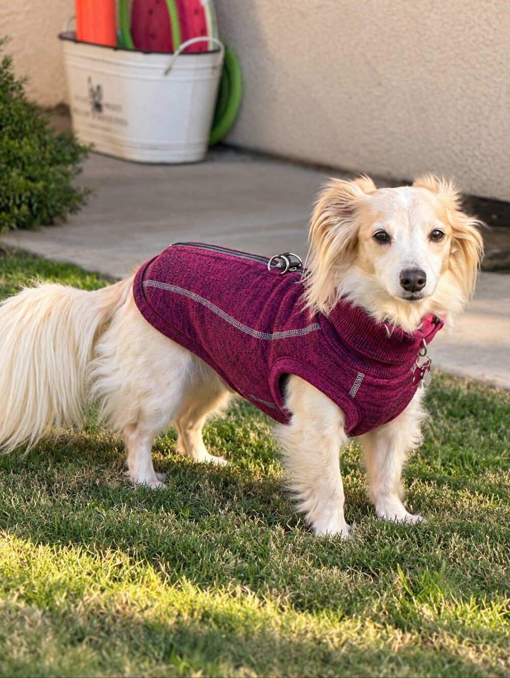 CYEOLLO XL Dog Sweater Fleece Lined Turtleneck Leash D-Ring Berry NWT